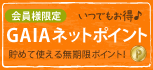 �f�`�h�`�l�b�g�|�C���g