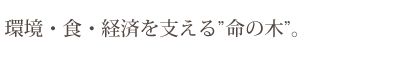 環境・食・経済を支える”命の木”。