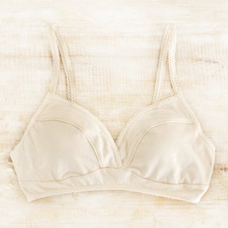 ���C�h�E�C���E�A�[�X �J�b�v�u�� �J�V���N�[�� �X�[�s�}�V��/���� M