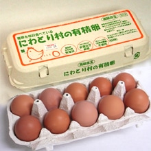 �y�㔔���X�z�y���E�Ηj�z�ɂ�Ƃ葺�̗L���� 10��