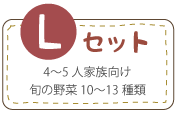 L�Z�b�g�@4�`5�l�Ƒ�����