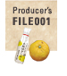 file001
