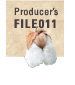file010