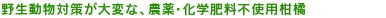 �쐶�����΍􂪑�ςȁA�_��E���w�엿�s�g�p���k