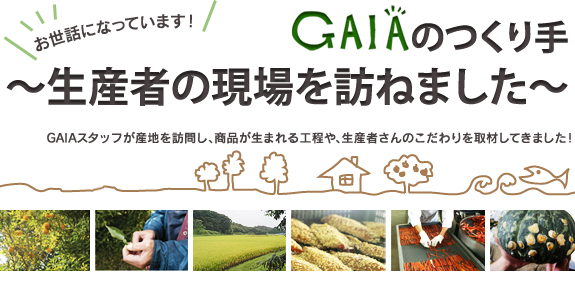GAIA�̂����`���Y�҂̌����K�˂܂����`