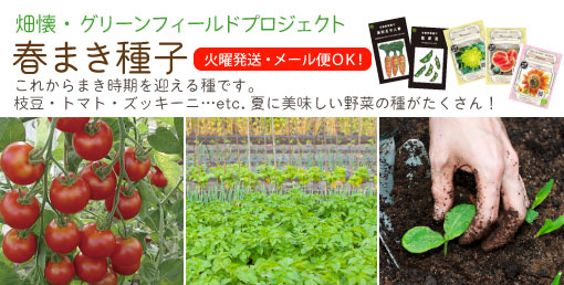 �t�܂���؁E�n�[�u�̎�