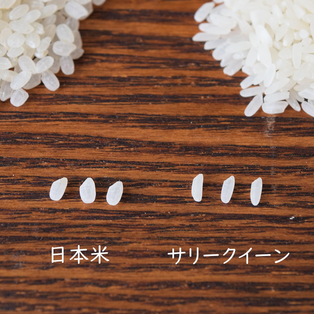 オーガニック＆自然食品・雑貨の総合仕入れサイト GAIAネット卸(ガイア