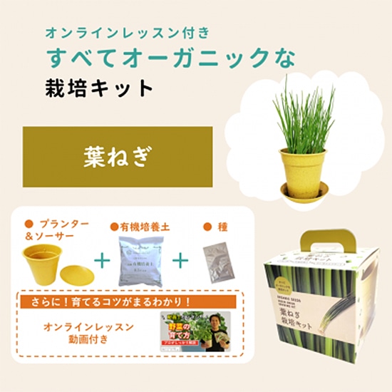 �y���E�Ηj�E�퉷�z�O���[���t�B�[���h�v���W�F�N�g �L�@��q ���ׂăI�[�K�j�b�N�ȍ͔|�L�b�g �t�˂� 4���|�b�g �y�Œ��z