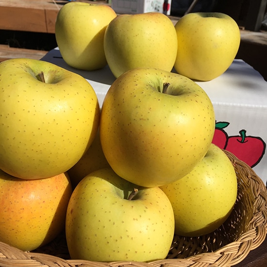 [��]�y�Y�n�����z�y�������z�y�ƌ��N������i���쌧�j �V�i�m�S�[���h 5kg�i14�`20�ʁj