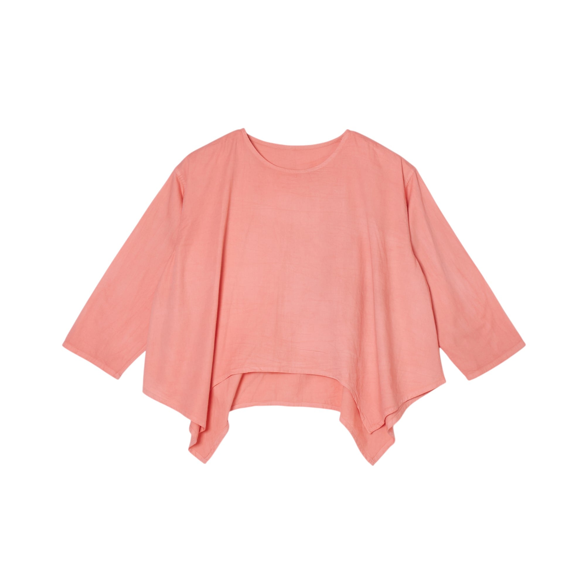 �y2026�N�\��z�a�F���搶�̓��풅�@��100% �c�m�J�b�g�\�[  �T�[�����I�����W F