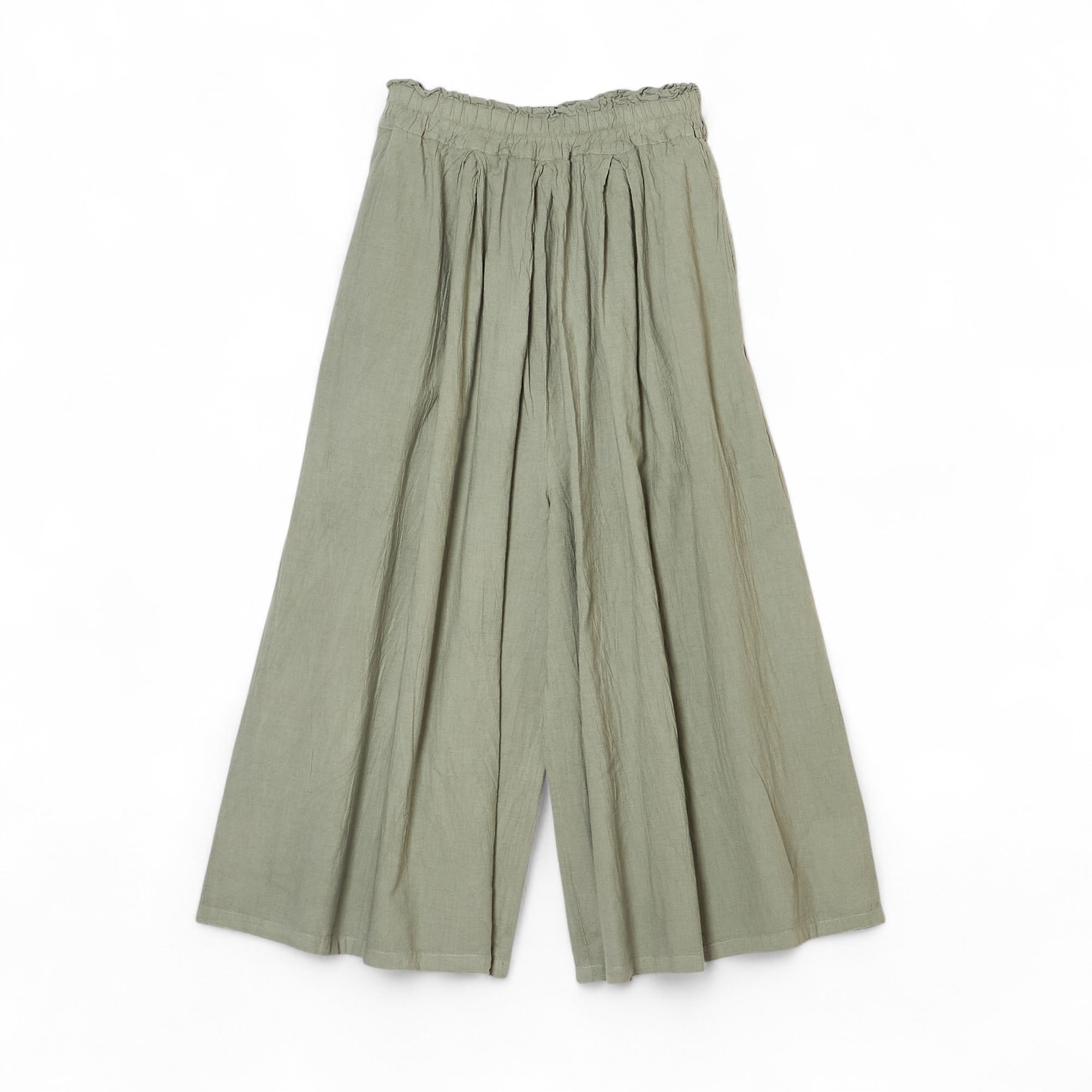 �y2026�N�\��z�a�F���搶�̓��풅�@���C�h�L�����b�g  �y���n�z ���C�g�O���[ M