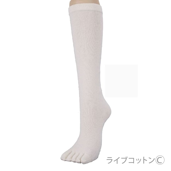 CuRbg@VNێ@5{wnC\bNX@ / 22-24cm