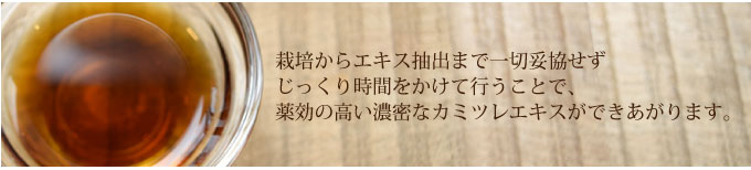 栽培からエキス抽出まで一切妥協せず