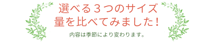 選べる3つのサイズ 量を比べてみました! 内容は季節により変わります。