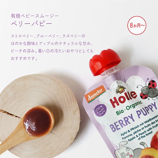 GAIAネット[※]おもちゃ箱 ホレ 有機ベビースムージー ベリーパピー
