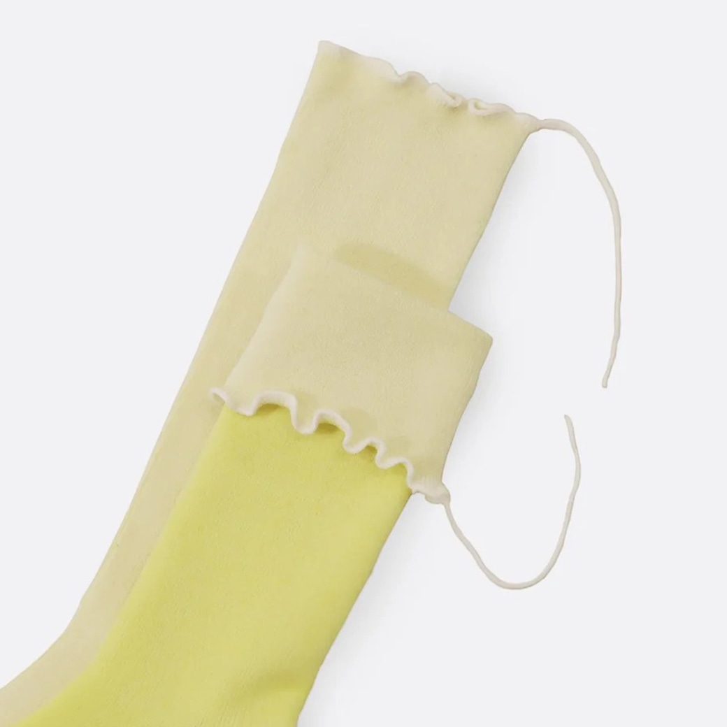 �T���Q�i�N