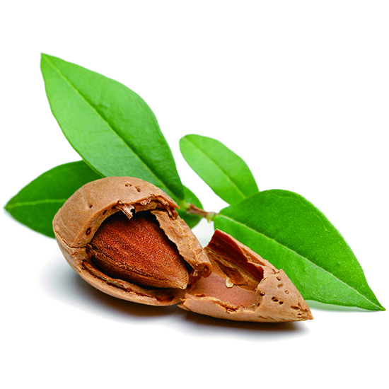 GAIAネット彩生舎 ハイパープランツ HVG055 オーガニックスイート