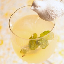 GAIAネット[※]ガルバニーナ オーガニックソーダ リモナータ（レモン