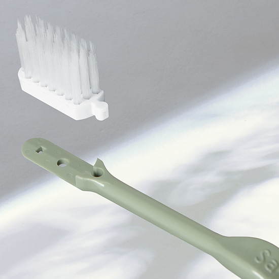 GAIAネットサレドミュー 替えブラシ 6ヶセット/ レギュラー/SMR00006