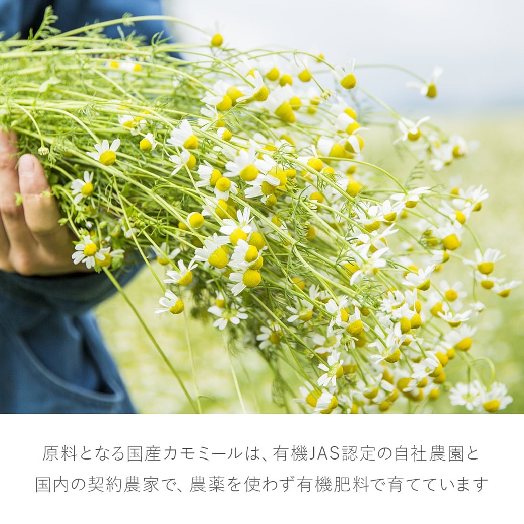 華密恋 カミツレン 特大詰替用 1500ml 3袋セット 華密恋 カミツレン