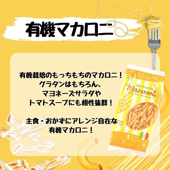 GAIAネット[※]ミトク フェリチェッティ オーガニックマカロニ 300g