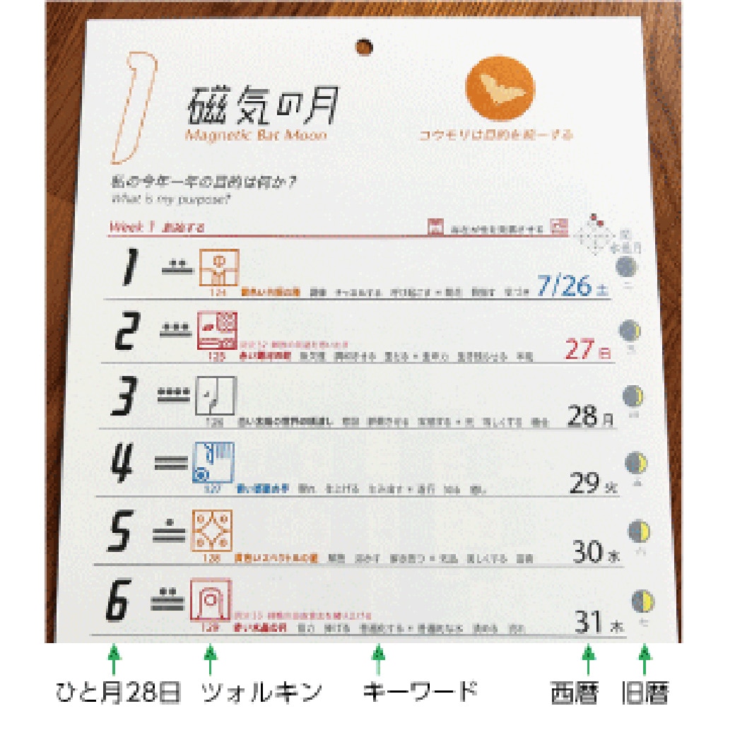 英語版　13の月の暦　マヤンカレンダー　シンクロニシティ 英語版 13の月の暦 マヤンカレンダー シンクロニシティ 本