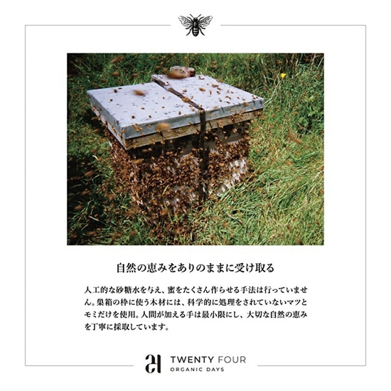 GAIAネット[※]おもちゃ箱 24 オーガニックDAYS オーガニックマヌカ