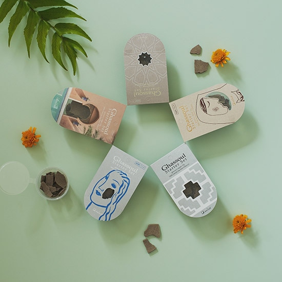 GAIAネットナイアード ガスール固形 スターターセット 扉 17g(扉