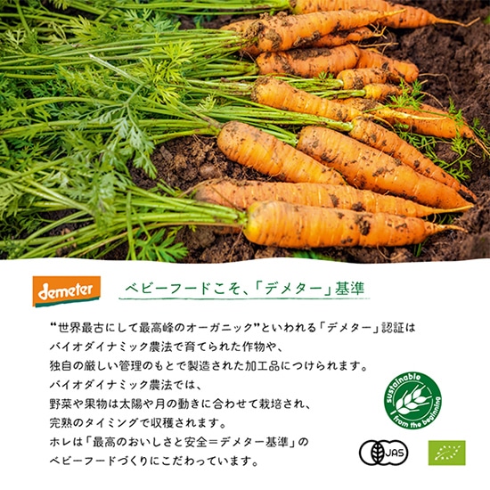 GAIAネット[※]おもちゃ箱 ホレ 有機ベビースムージー レッドビー 100g