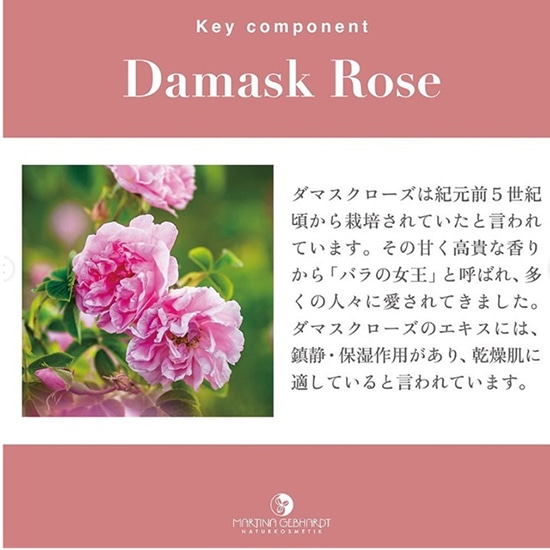 GAIAネットおもちゃ箱 マルティナ ローズクリーム （フェイス用