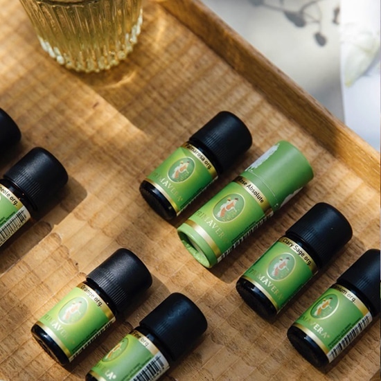 GAIAネットおもちゃ箱 プリマヴェーラ フランキンセンス 5ml: 精油