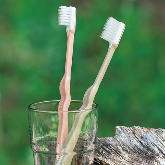 GAIAネットサレドミュー 替えブラシ 6ヶセット/ レギュラー/SMR00006