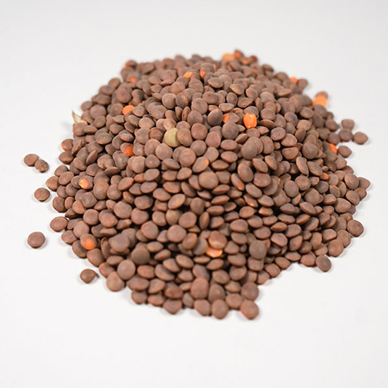 [※]【業】アリサン P53L 有機レンズ豆（皮付き） 1kg