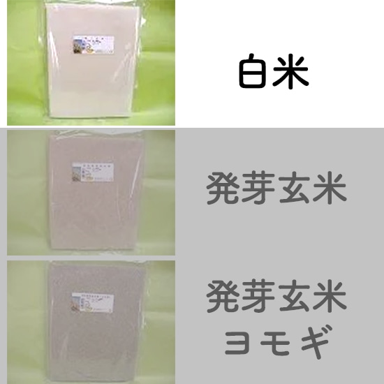 [��]�y���F2/3�����z�����_���@�̂��� ����