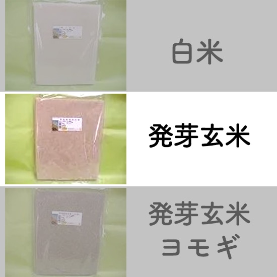 [��]�y���F2/3�����z�����_���@�̂��� ���茺��