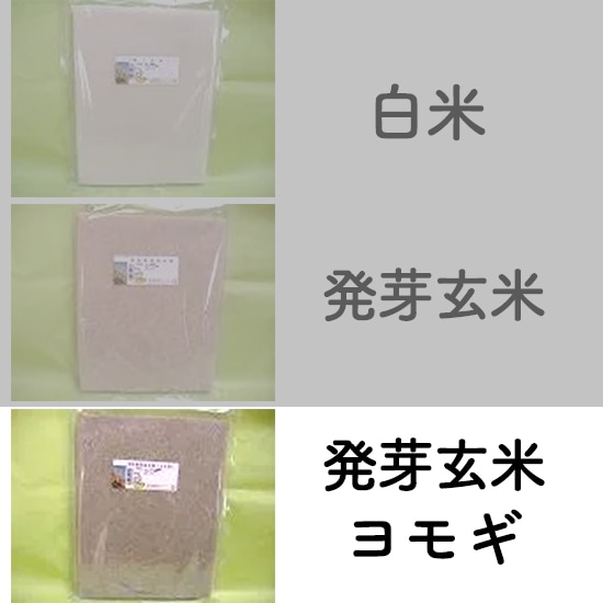 [��]�y���F2/3�����z�����_���@�̂��� ���茺�� �����M