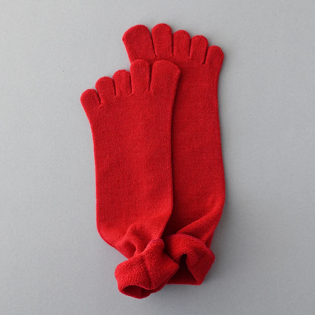 Gluck und Gute(�O�����b�N���g�O�[�e) �ܖ{�w�u���̔����v���ƃE�[�� �ܖ{�w�C���@�j�����p