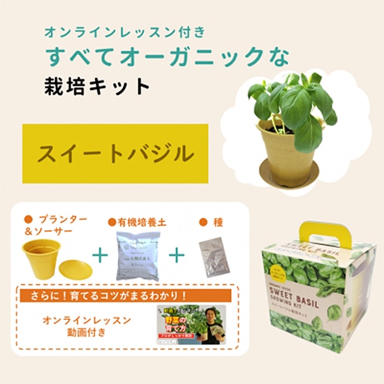 【取寄・火曜】グリーンフィールドプロジェクト 有機種子 すべてオーガニックな栽培キット スイートバジル 4号ポット 【固定種】