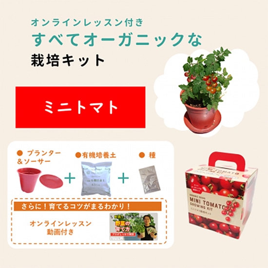 �y���E�Ηj�z�O���[���t�B�[���h�v���W�F�N�g �L�@��q ���ׂăI�[�K�j�b�N�ȍ͔|�L�b�g �~�j�g�}�g 4���|�b�g �y�Œ��z