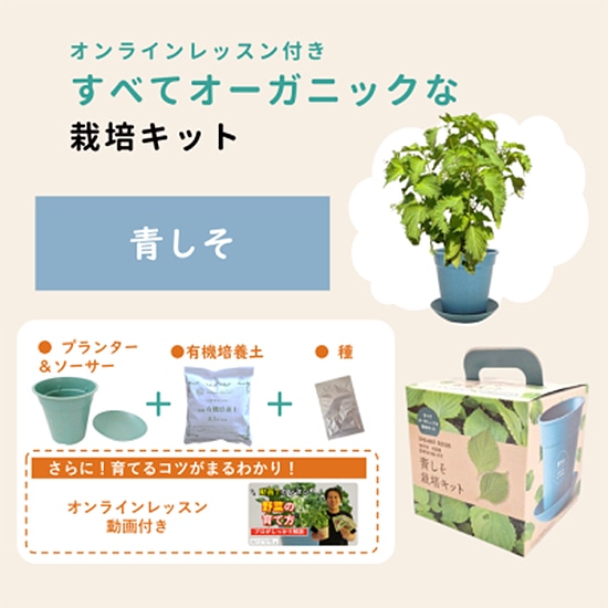 【取寄・火曜】グリーンフィールドプロジェクト 有機種子 すべてオーガニックな栽培キット 青しそ 4号ポット 【固定種】