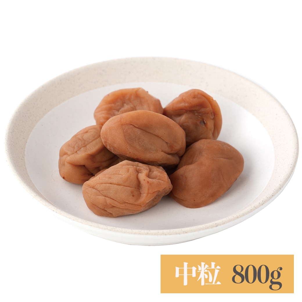 [��]�y���\��E10�����{�����z�n���Ё@�g��̗��̓썂�~ ���� ���� 800g / 040190