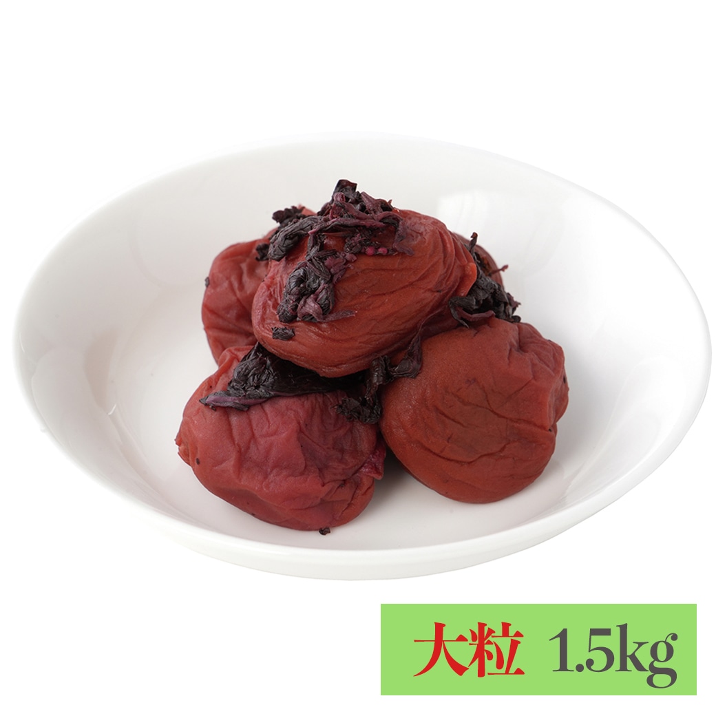 [��]�y���\��E10�����{�����z�n���Ё@�a�̎R���Y�썂�~ ������ �嗱 1.5kg / 040195
