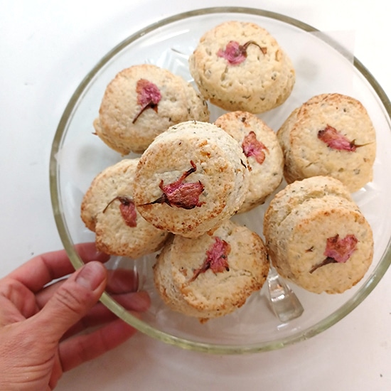 [��]�y���F3/19�����z�y���ʌ���zTeetyWoo�i�e�B�[�e�B �E�[�j ������̃X�R�[���@2���i�������s�g�p�j