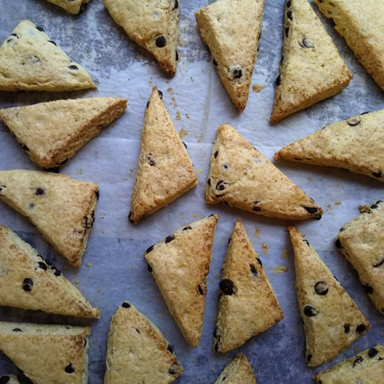 [��]�y���F2/19�����zTeetyWoo�i�e�B�[�e�B �E�[�j �L�����u�X�R�[�� 2���i�������s�g�p�j