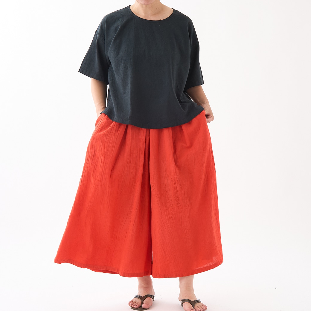 �a�F���搶�̓��풅�@���C�h�L�����b�g  �y���n�z ��� M