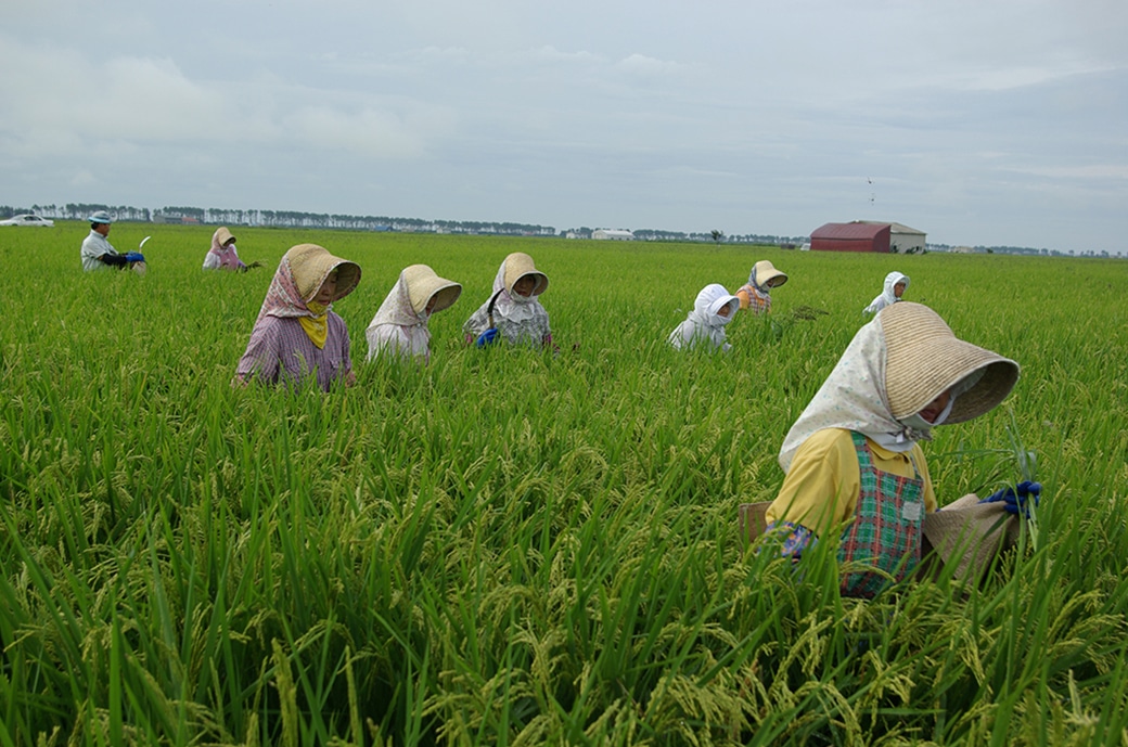 ������Ƃ̗l�q