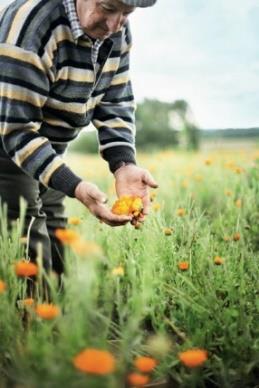 �]�l���g�A