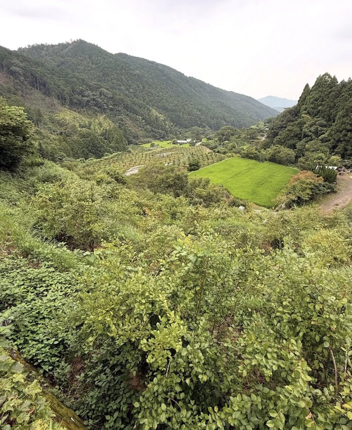 Zion Valley Farm �I�c�ƎR�����̃u���[�x���[��