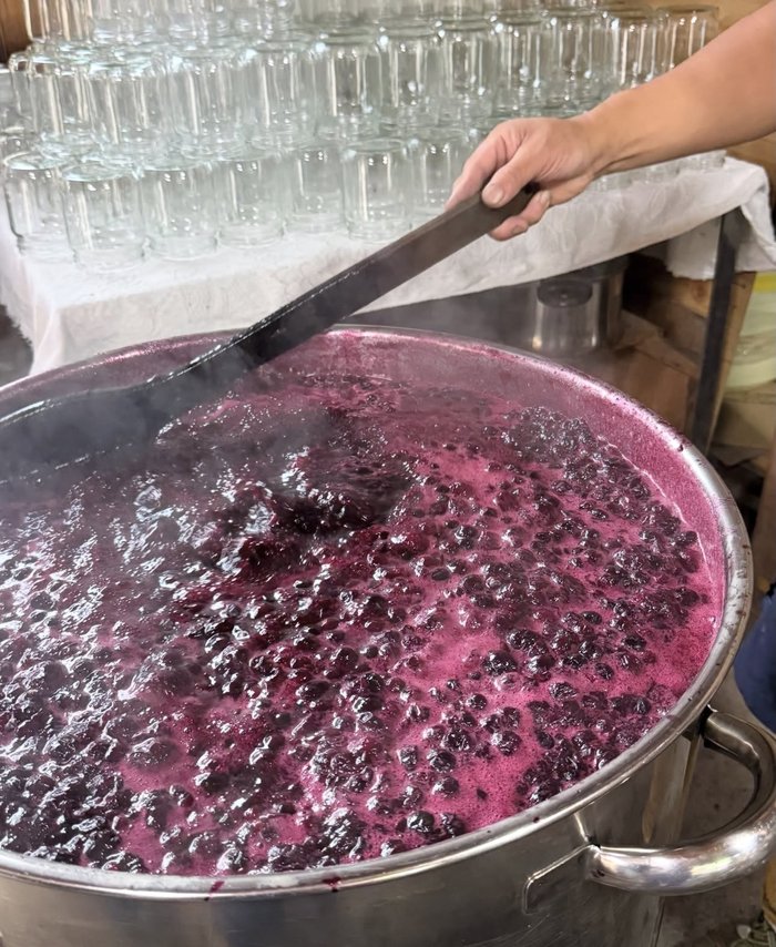 Zion Valley Farm ���Ńu���[�x���[���ϋl�߂�