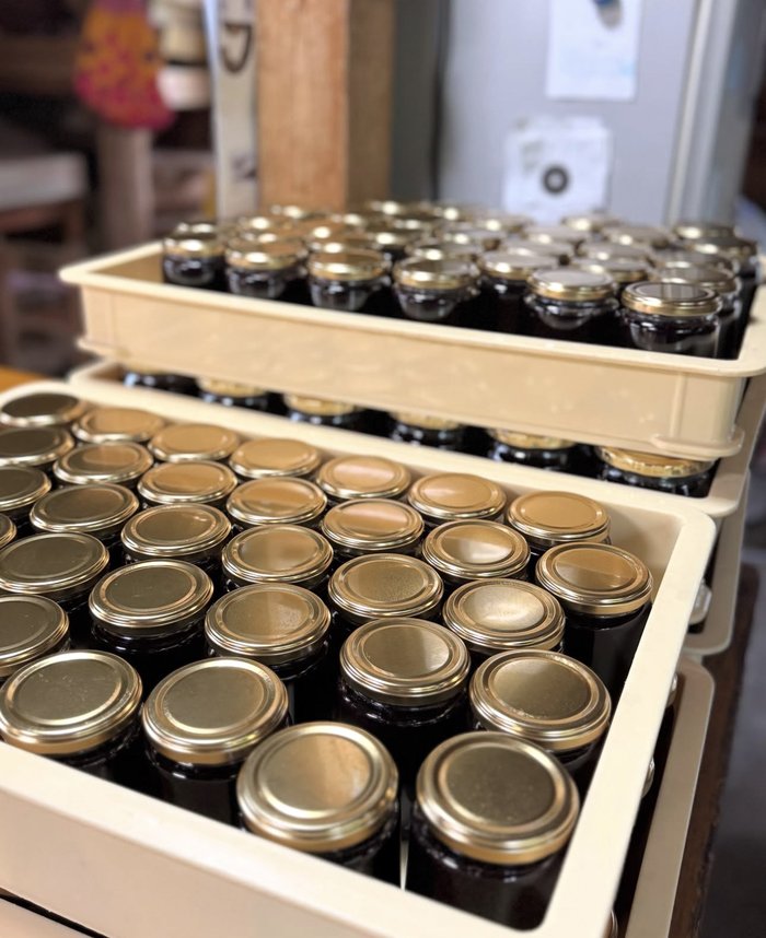 Zion Valley Farm �o���オ�����W�����̕r